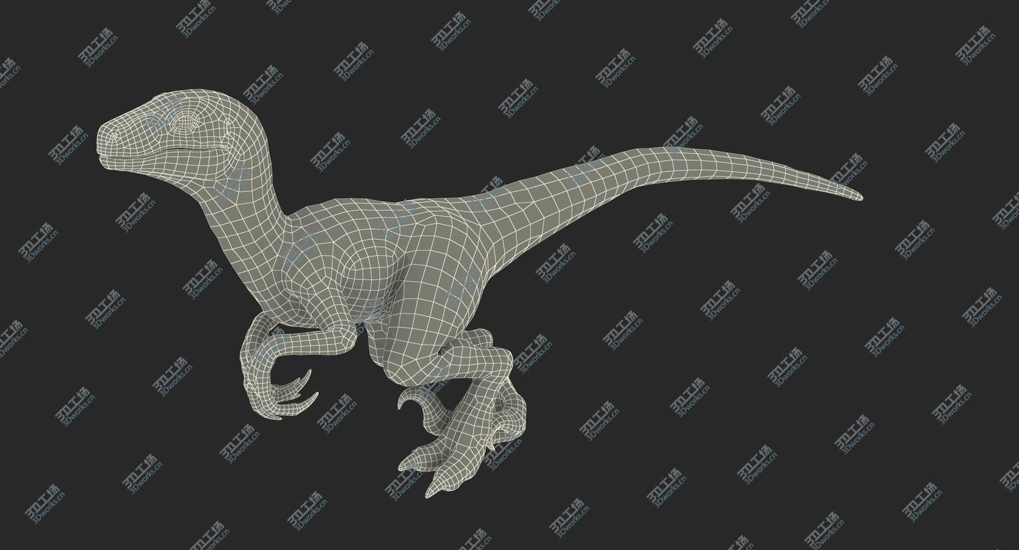 images/goods_img/2021040161/3D Velociraptor Walking Pose 3D Model/4.jpg
